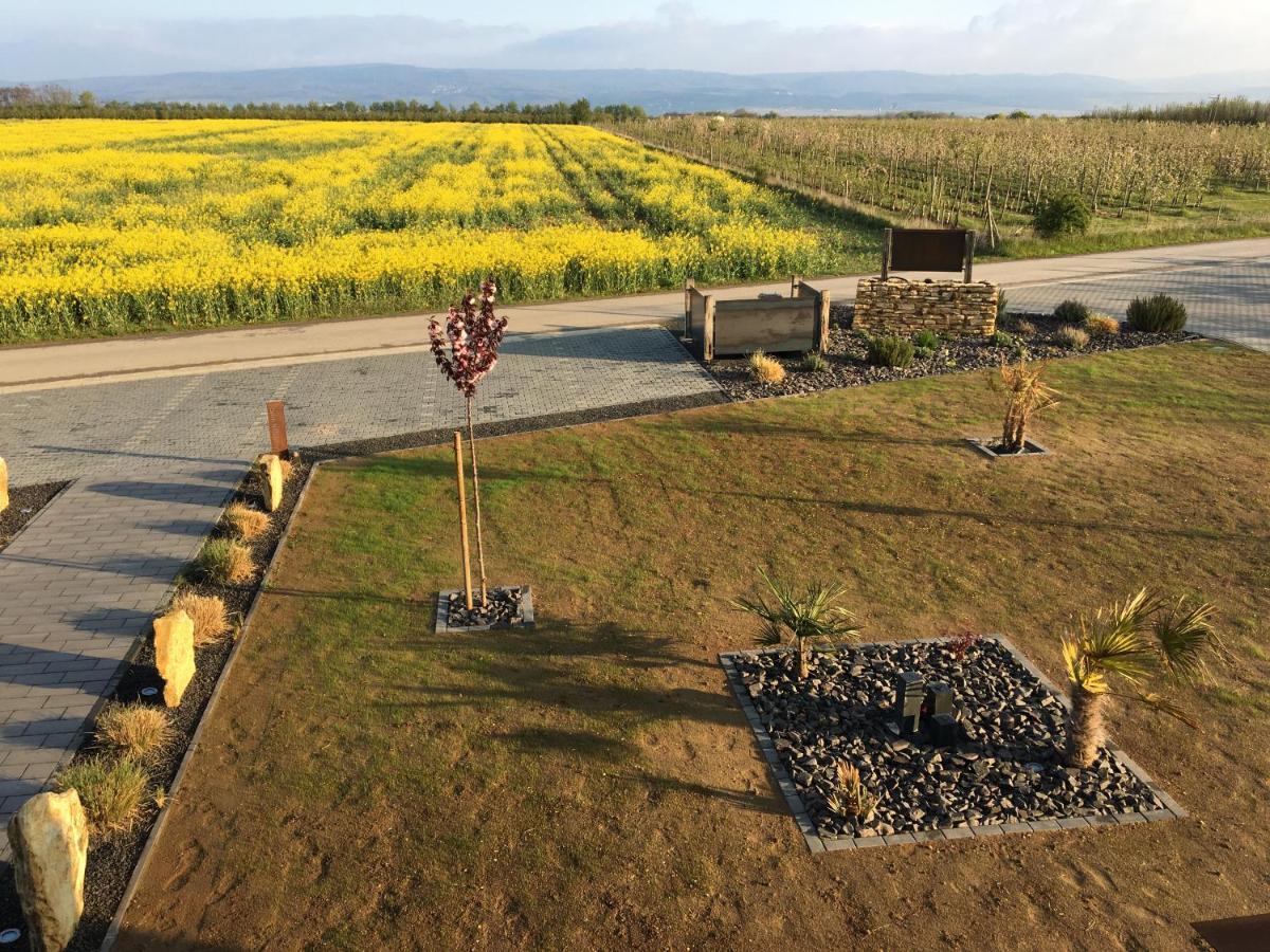 Wohnung 2 Im Kirschbluetenhof Ingelheim am Rhein Exteriör bild